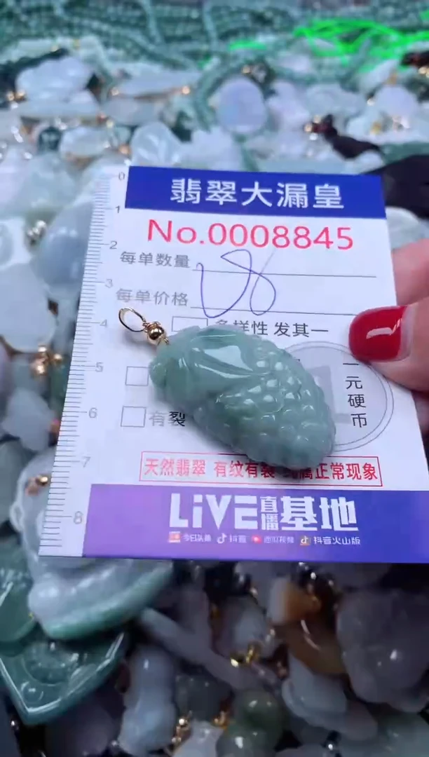 颈饰未镶嵌翡翠8845