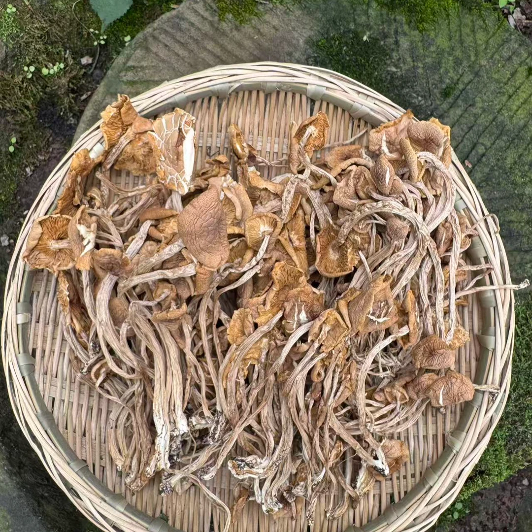 农家 茶树菇  自然晾晒营养美味的干货