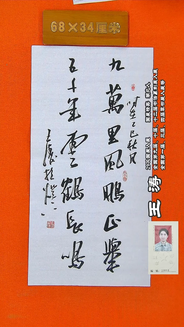 书法261R王涛书法作品