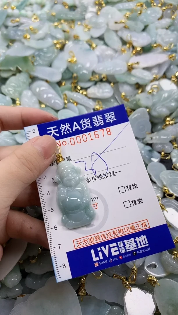 颈饰未镶嵌翡翠天然A货翡翠