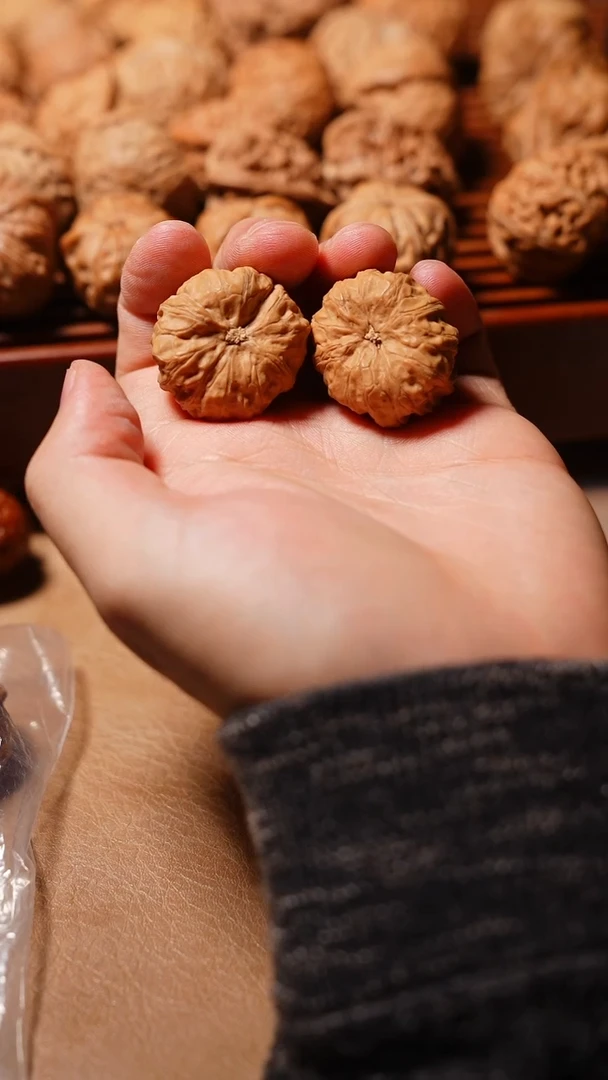核桃变异门头沟32.。。。。。。。