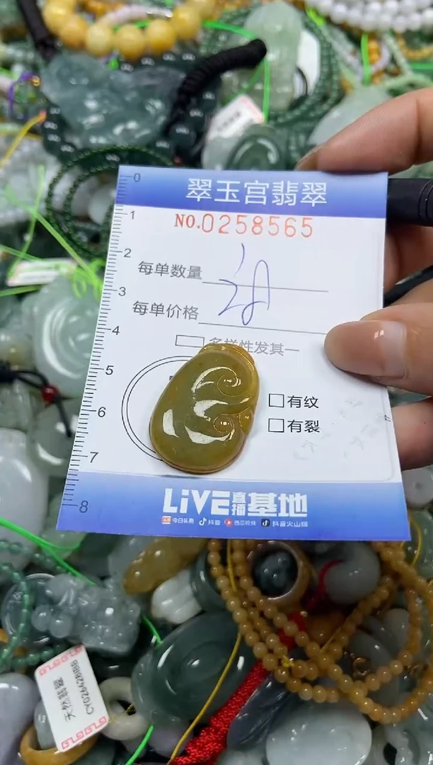 颈饰未镶嵌翡翠闪购C0258565