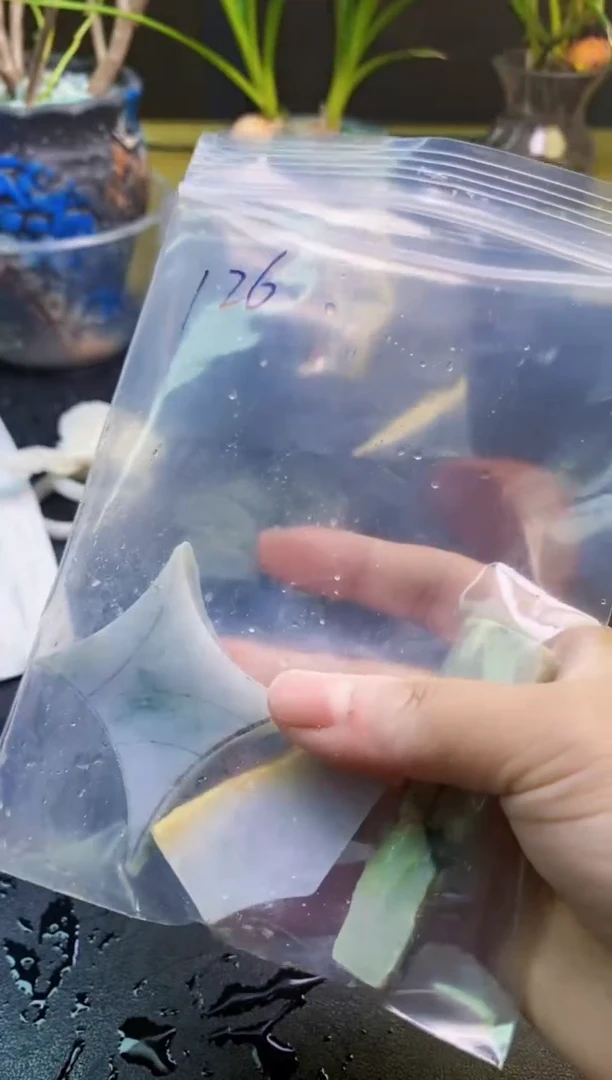 翡翠未镶嵌颈饰天然翡翠126
