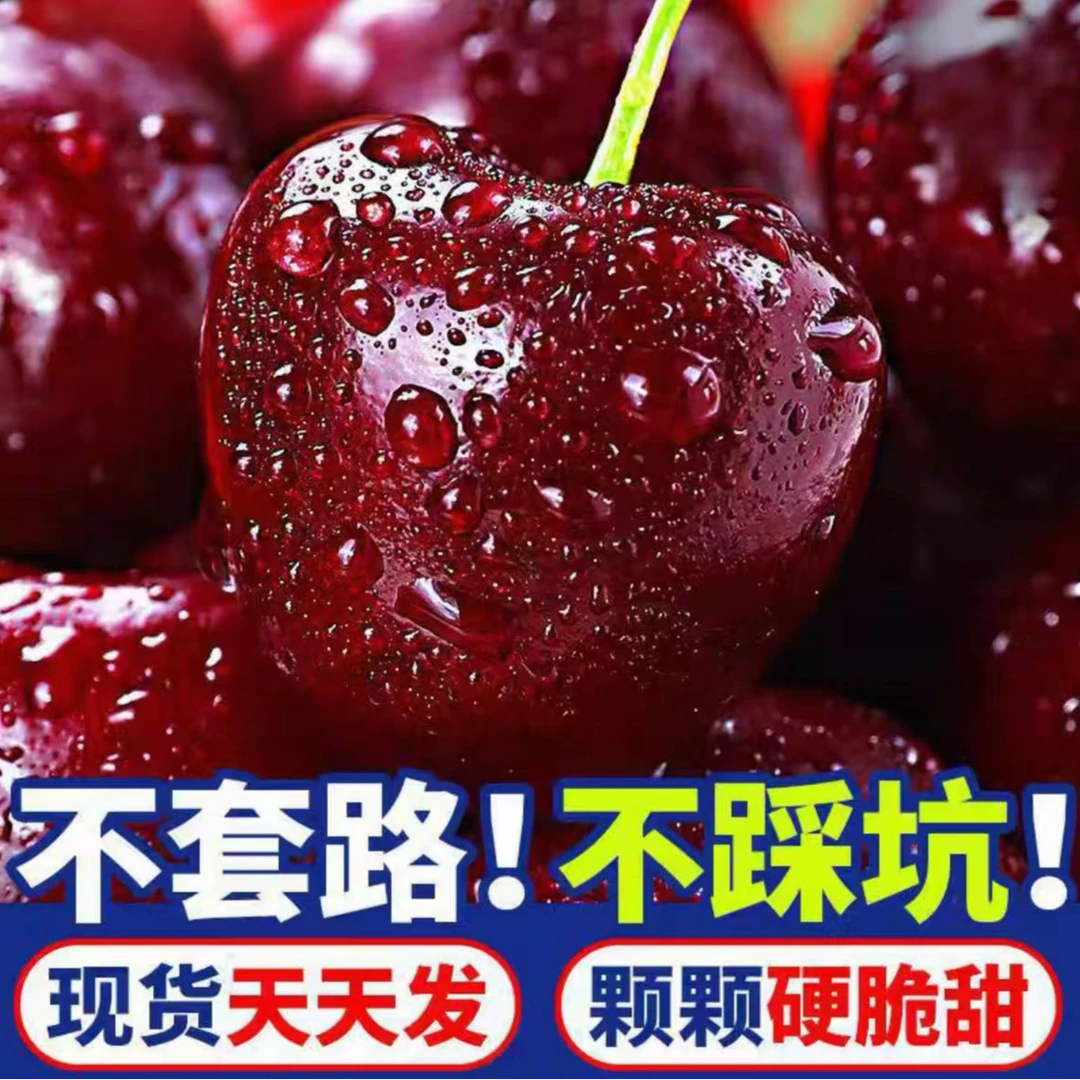 智利进口空运桑提娜3JD车厘子顺丰京东净果2500g内附果径卡