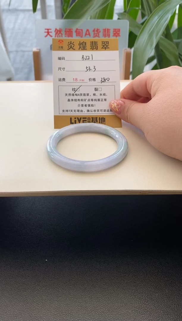 未镶嵌手镯翡翠徐**喵53.3圈口 编码b221