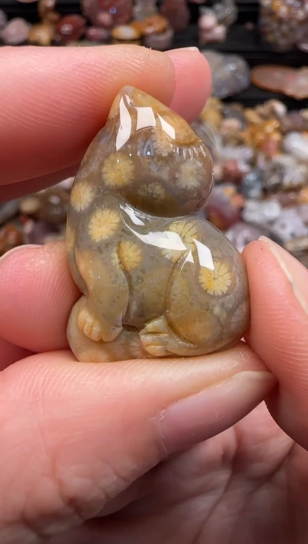 硅化珊瑚（珊瑚玉）未镶嵌颈饰568