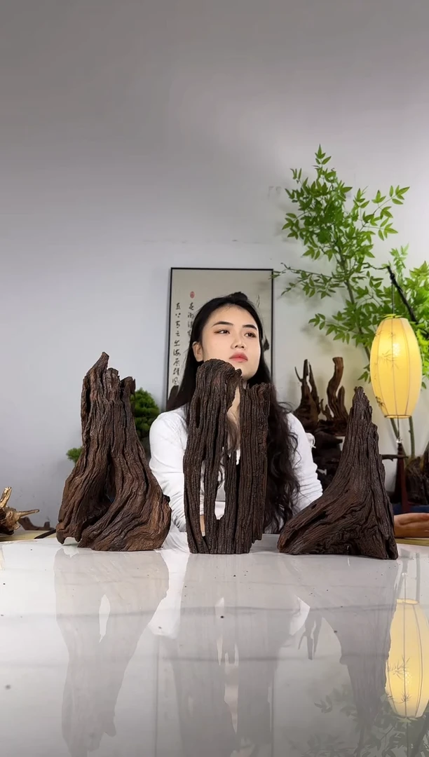 天***！拍这个定向编号18-3