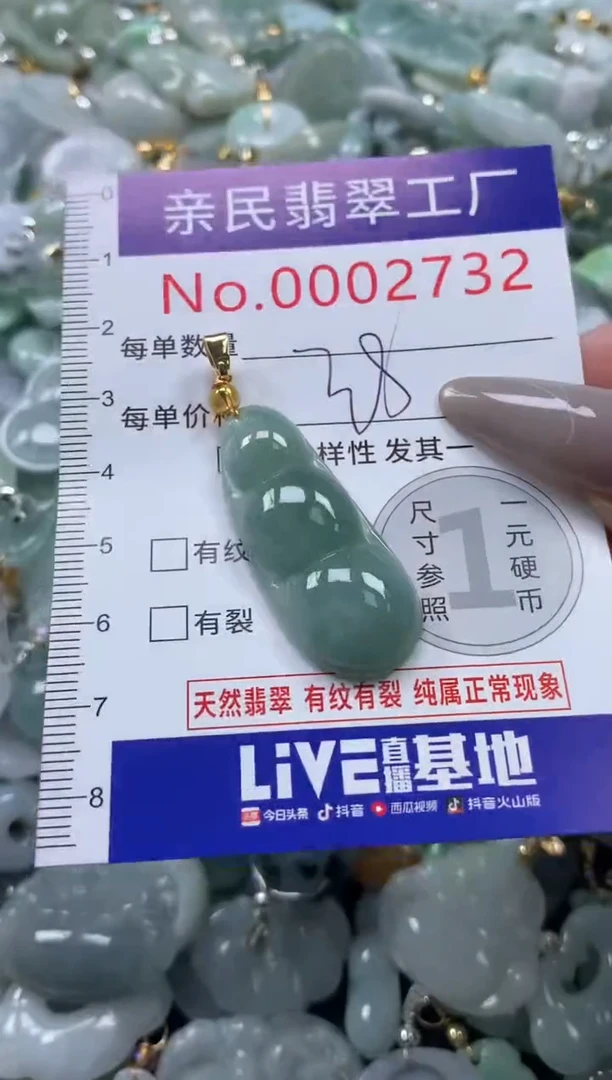 颈饰未镶嵌翡翠2732