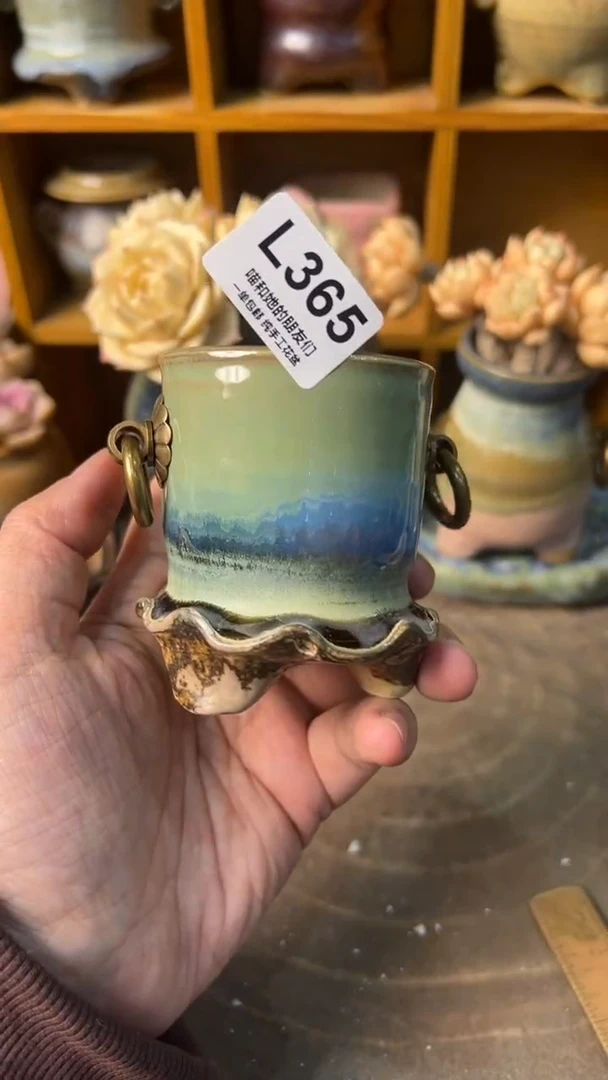 天**蓝365【多肉花盆多肉盆】