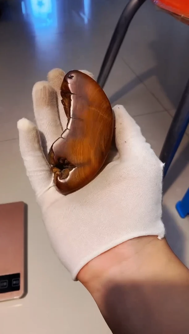 【闪购商品】柏木34崖柏崖柏崖柏崖柏崖柏