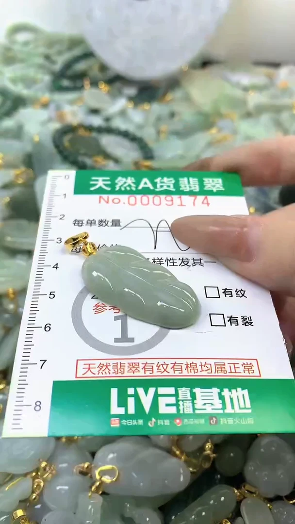颈饰未镶嵌翡翠未镶嵌纯天然A货翡翠