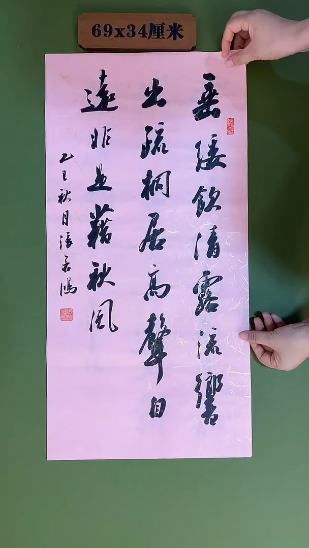 书法书法 张若鸿 尺寸69cm*34cm