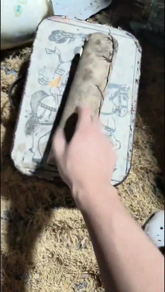 香榧木（1个小牛皮桶0