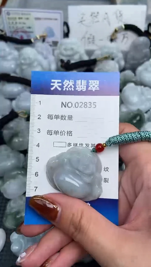 颈饰未镶嵌翡翠纯天然A货翡翠2835