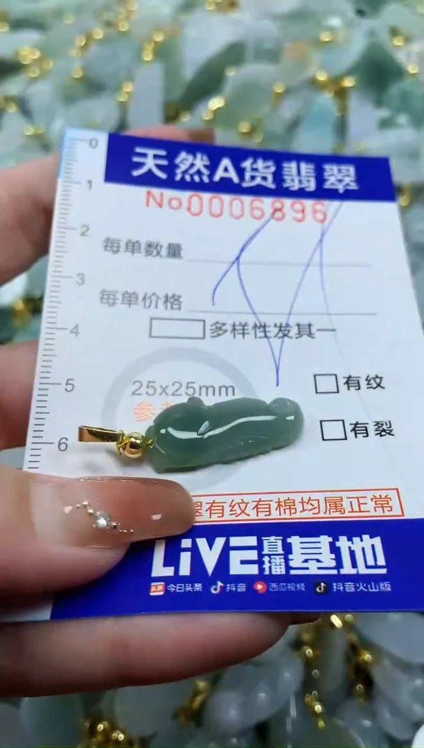 颈饰未镶嵌翡翠天然A货翡翠