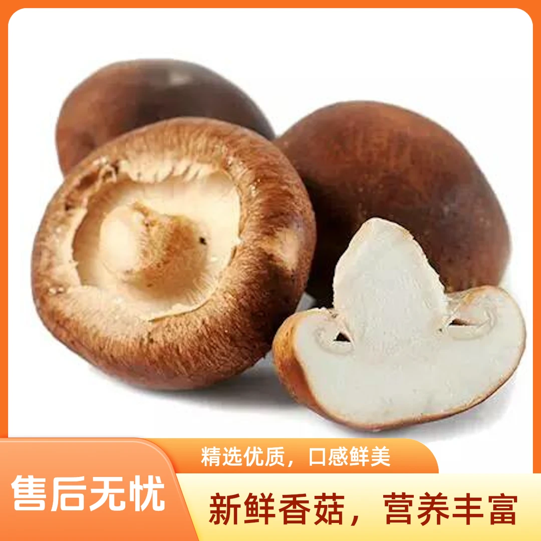 鲜香菇（公斤）