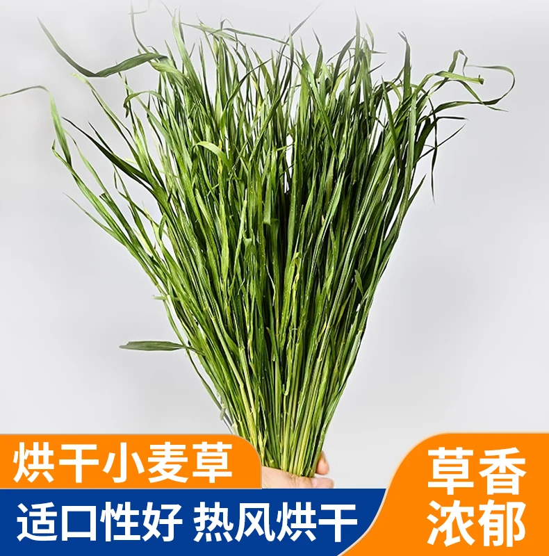 山东25年11月新烘干小麦苗宠物兔子龙猫荷兰猪饲料粗纤维兔子草粮