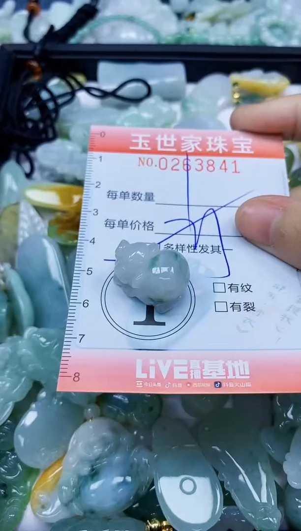 翡翠未镶嵌颈饰闪购0263841多样性发其一