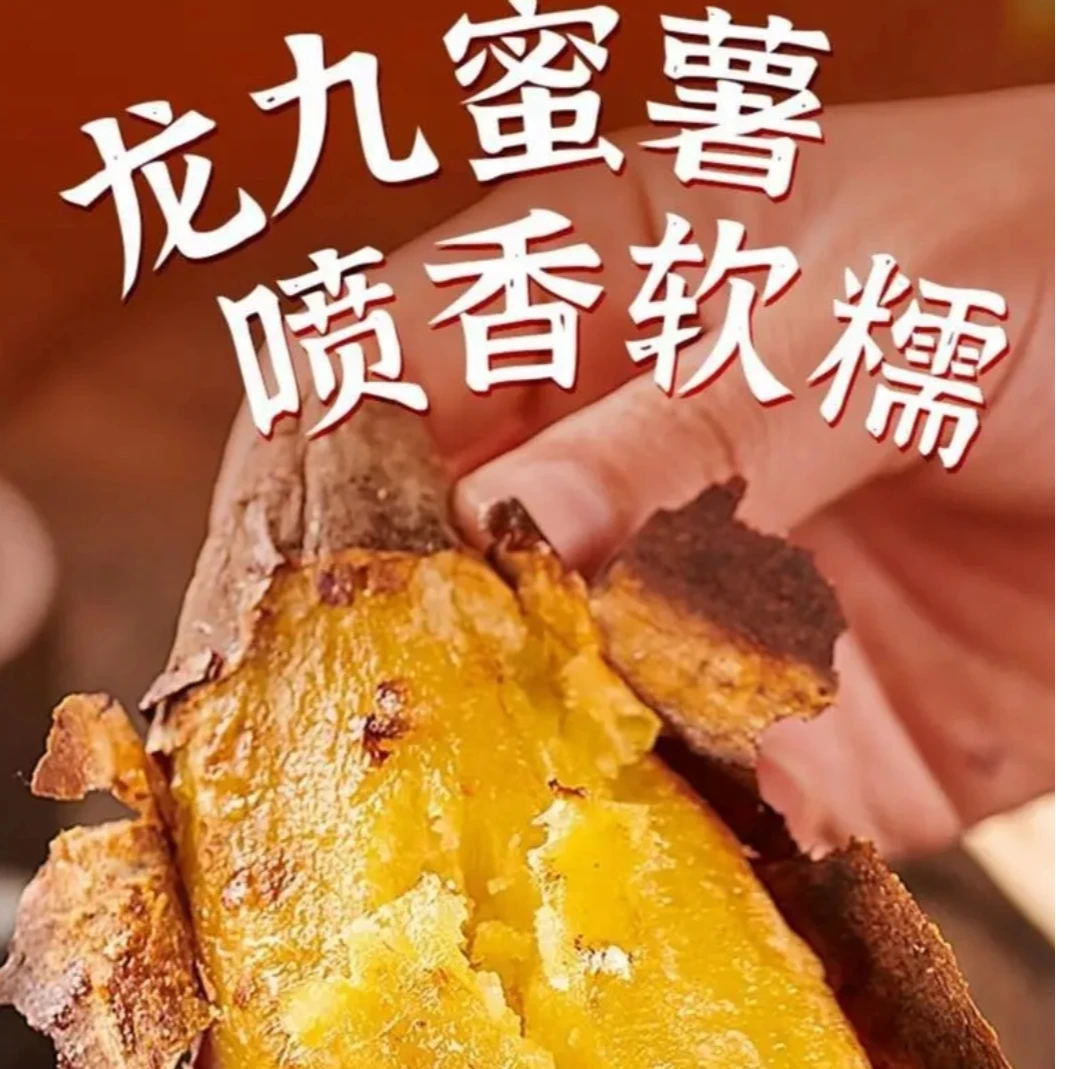 正宗龙九 红薯  农家沙地自种 新鲜现挖 软糯香甜