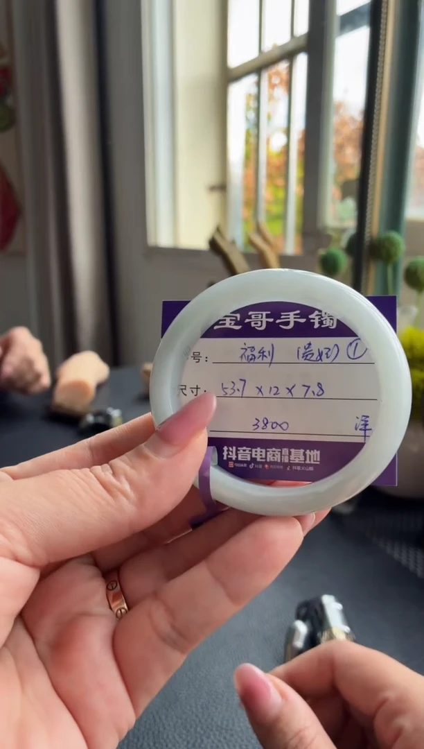 未镶嵌手镯翡翠翡翠手镯 1