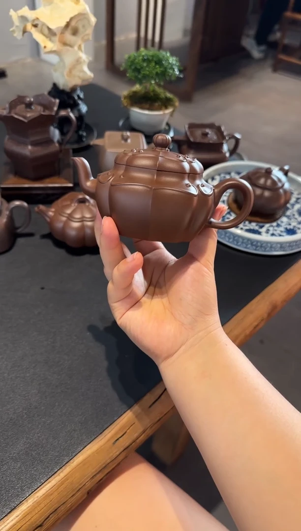 茶壶紫砂老*.向阳而生