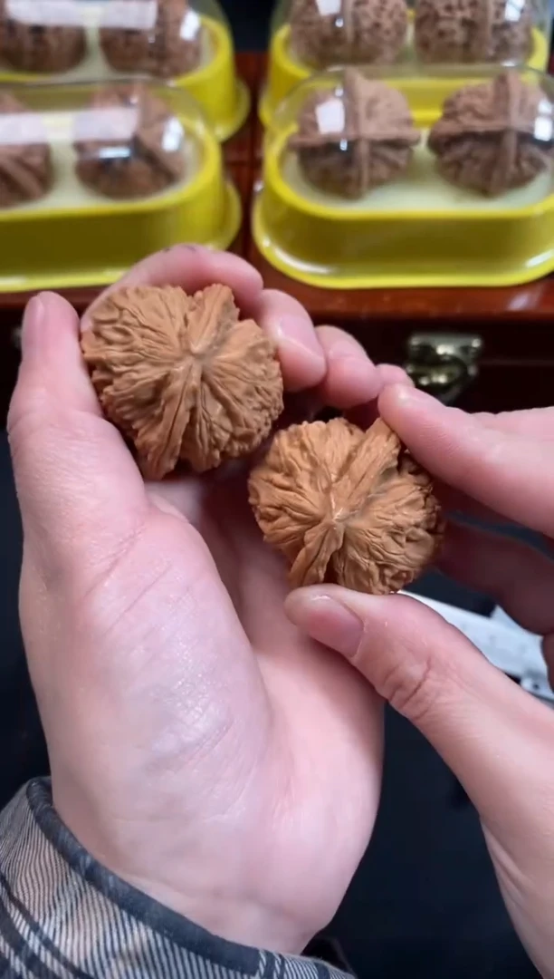 把件文玩核桃白狮子38尺N671