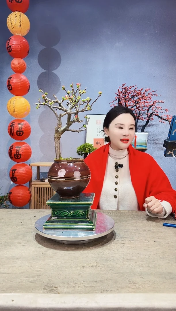 【闪购商品】盆景海棠 长寿冠