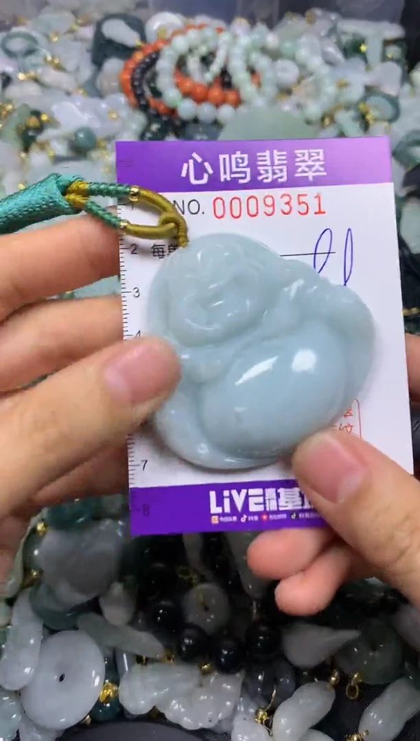 【闪购商品】翡翠颈饰未镶嵌闪购009351