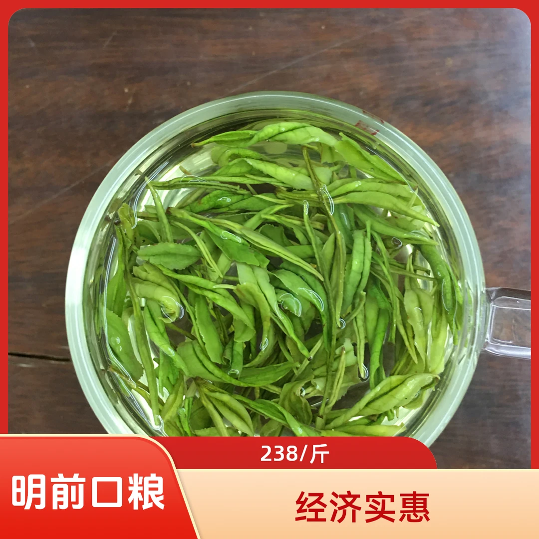 白仙一号新茶春茶明前溪龙安吉白茶兰花香珍稀高山绿茶叶口粮