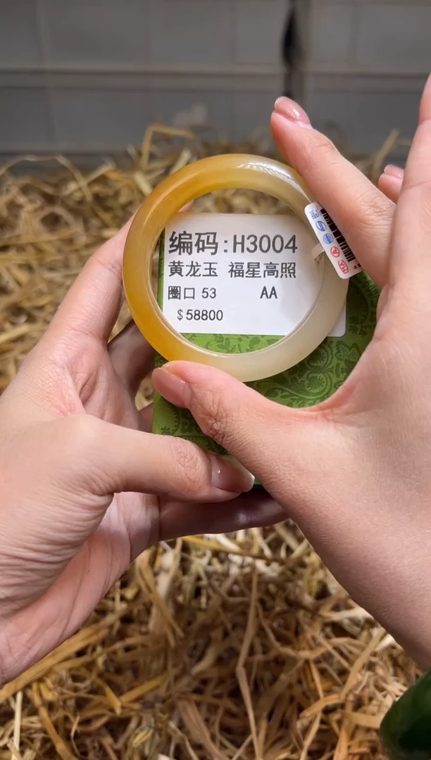 未镶嵌手镯石英质玉H3004