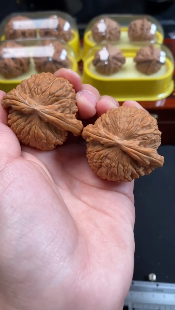 把件文玩核桃白狮子41尺R894