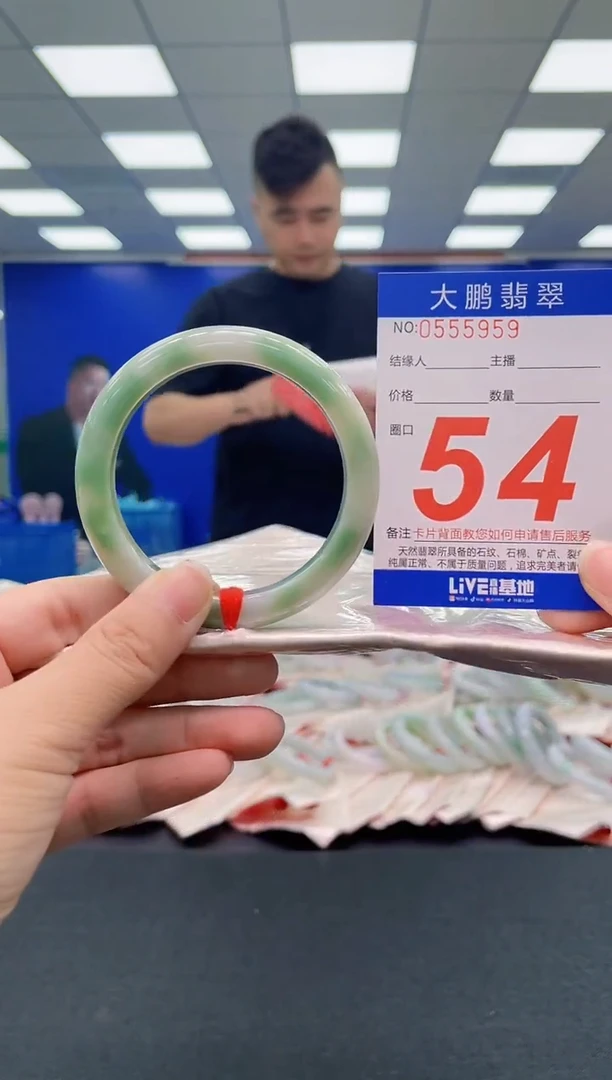 未镶嵌手镯翡翠AAAAAAAAA