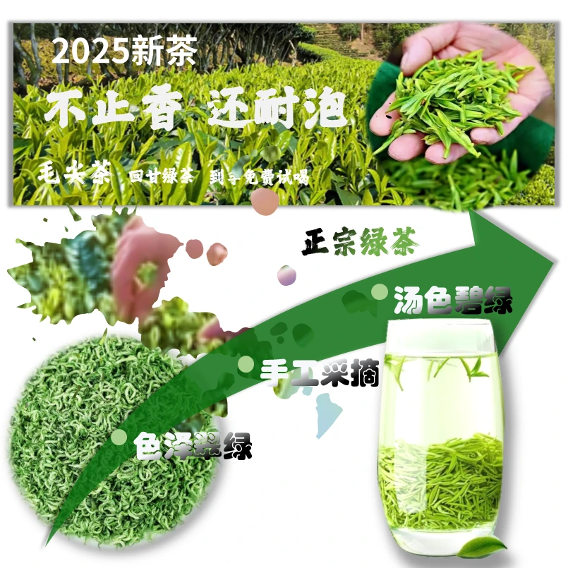 2025绿茶毛尖特级高档新茶绿茶浓香栗香绿茶高山云雾茶散装口粮茶