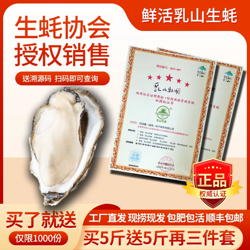 买的多送的多②乳山生蚝 清蒸刺身 聚餐送礼 顺丰包邮 5/10斤商品图