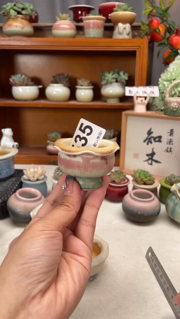 瓷片535知木小芳花盆编号