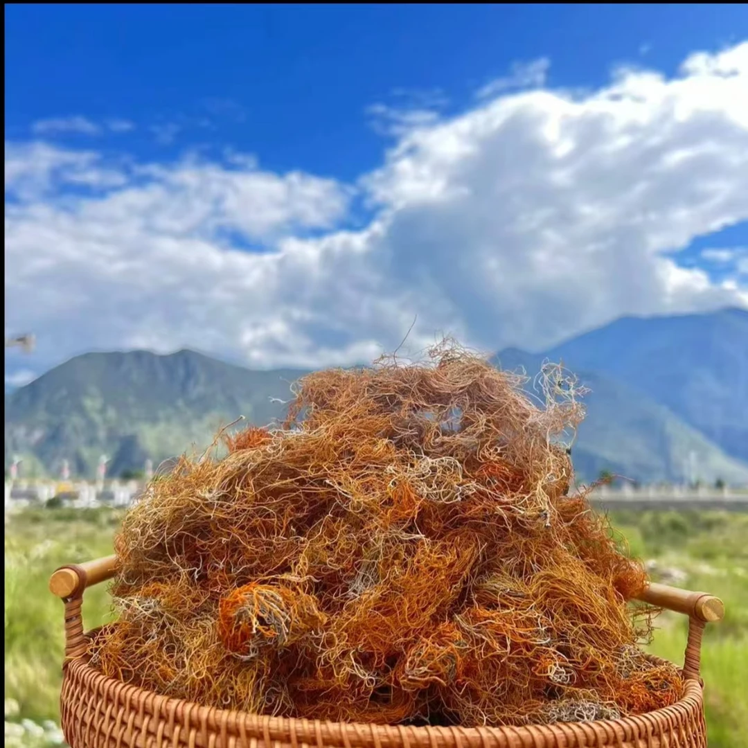 云南文山高山红雪茶