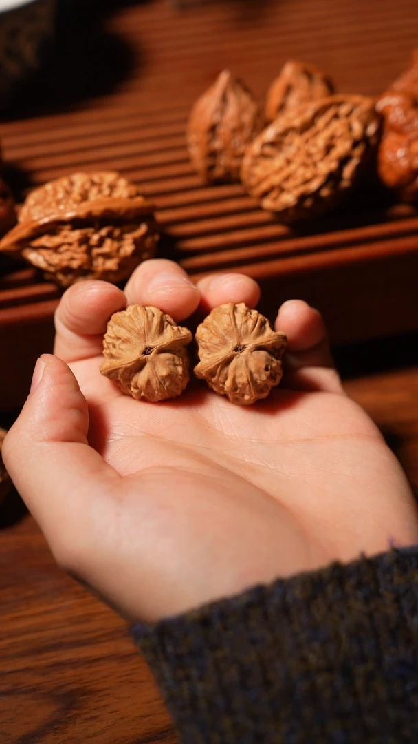 核桃龙女28.。。。。。。