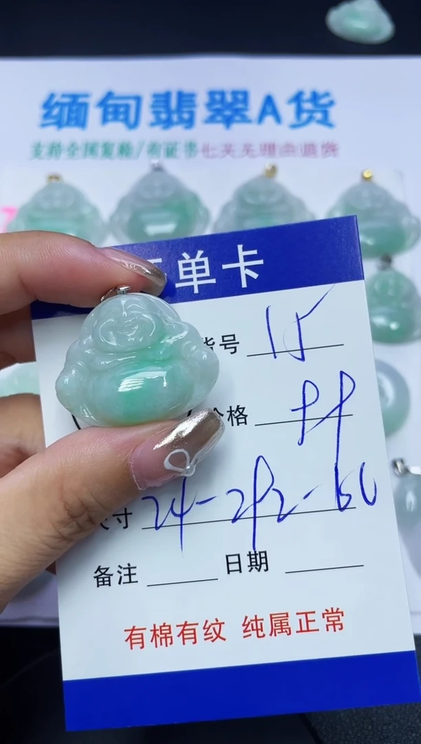 翡翠未镶嵌吊坠(赠链)15