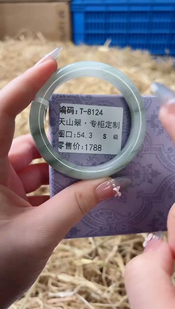 未镶嵌手镯石英质玉T-8124