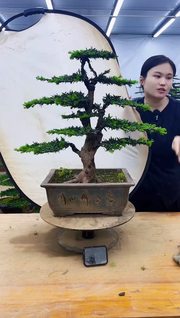无花朵一物一拍，所见即所得