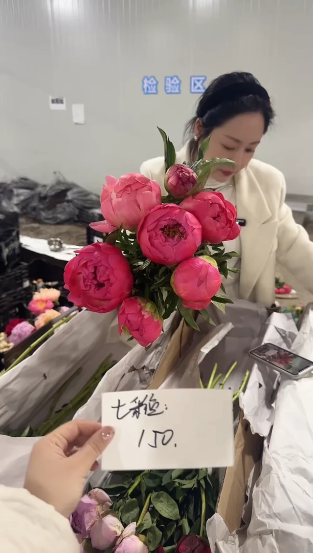 七*鱼定向 七彩鱼