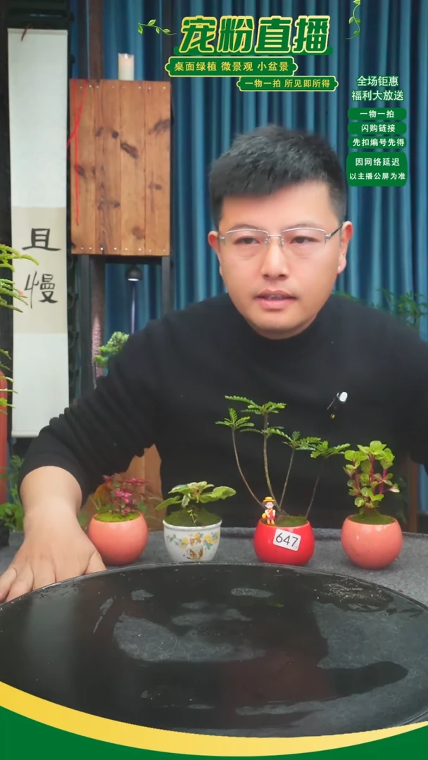 无花朵笑*苔藓微景观647号