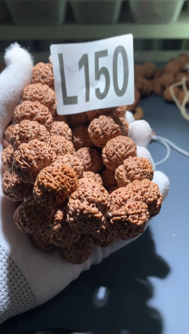 手串金刚菩提L0000150