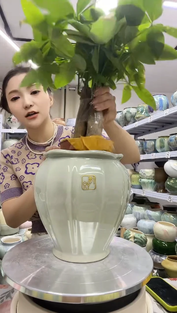 10.6号】直播链接  高：20.5   口