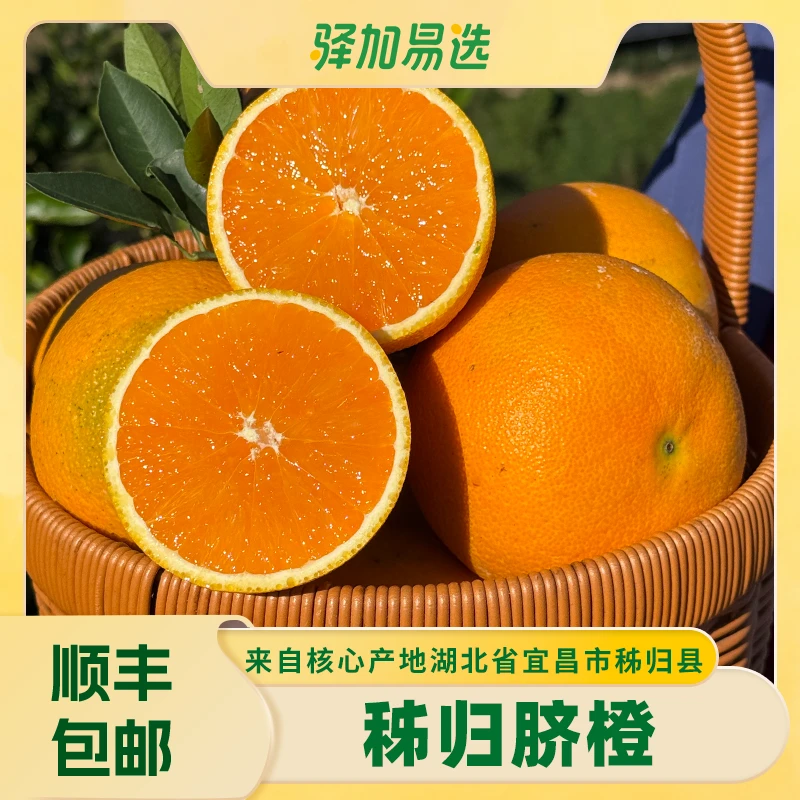 秭归脐橙新鲜现摘多汁香甜晶莹剔透YMQT