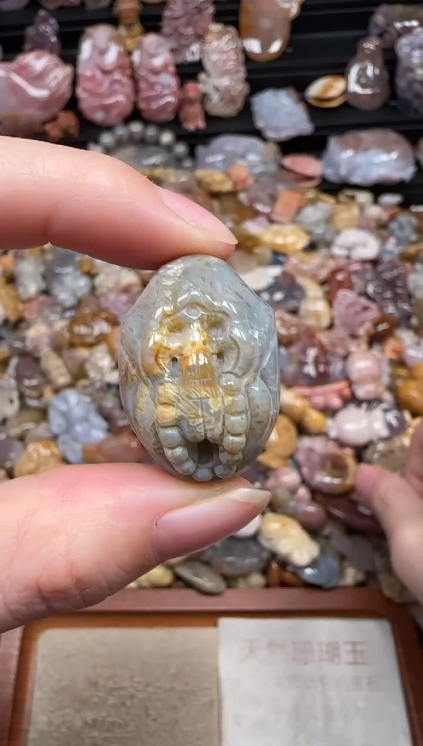 颈饰未镶嵌硅化珊瑚（珊瑚玉）782