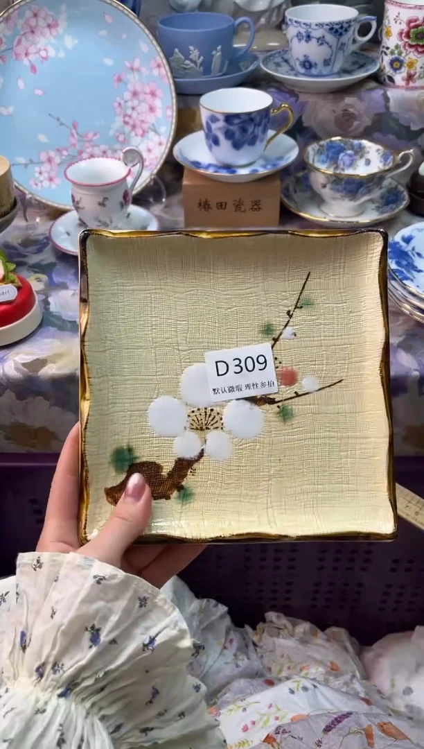 瓷片A*i瓷片瓷片          D 309