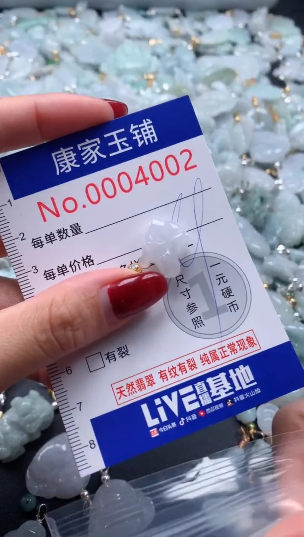 颈饰未镶嵌翡翠4002