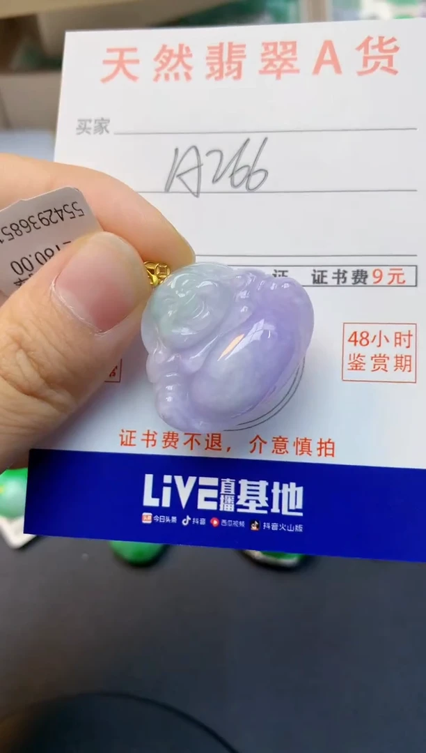 颈饰18K金镶嵌翡翠天然缅甸A货翡翠百元以上9元证书费自理