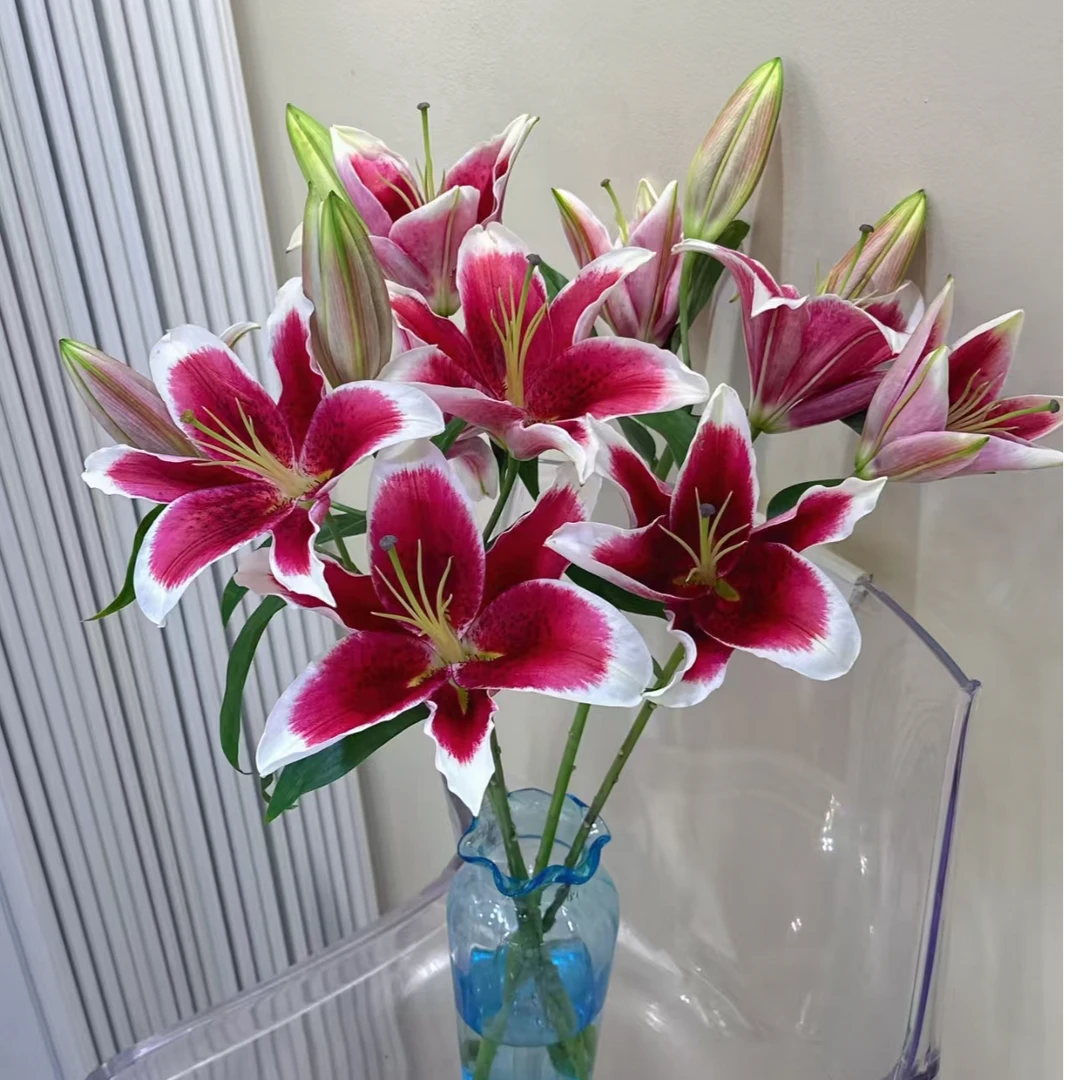 超大多头【定制精选国王】单瓣百合，浓香型高级稀缺小众花材